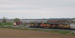 UP 5565-BNSF 7795-UP 7521-UP 7142-UP 6409